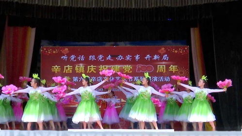 辛店鎮(zhèn)慶祝建黨一百周年暨第六屆文化藝術(shù)節(jié)圓滿(mǎn)舉行